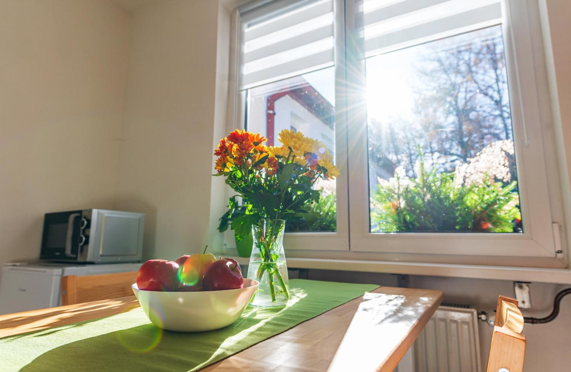 Ubytovani Na Samote - Apartman U Tesaru Komarice 外观 照片