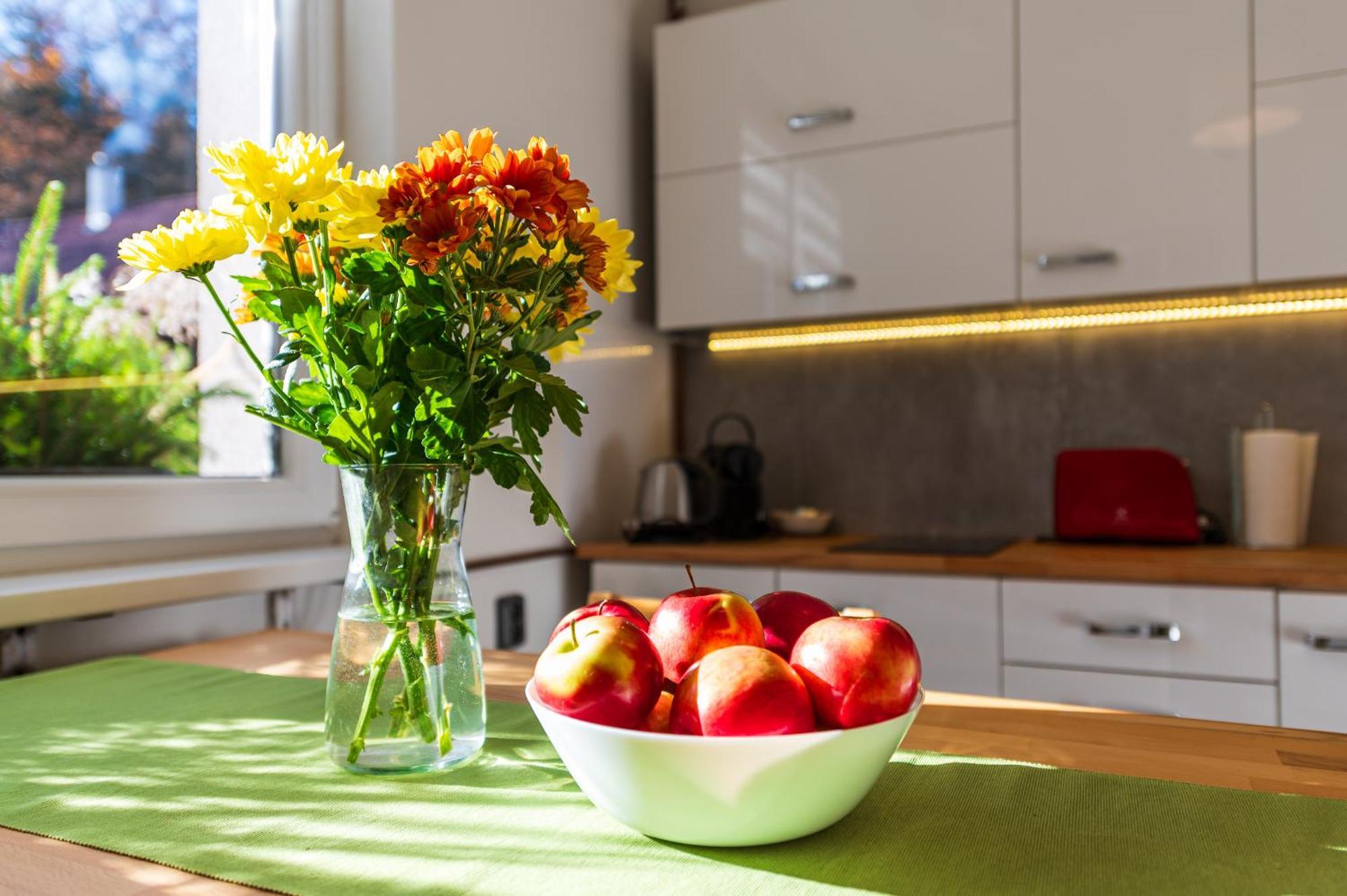 Ubytovani Na Samote - Apartman U Tesaru Komarice 外观 照片